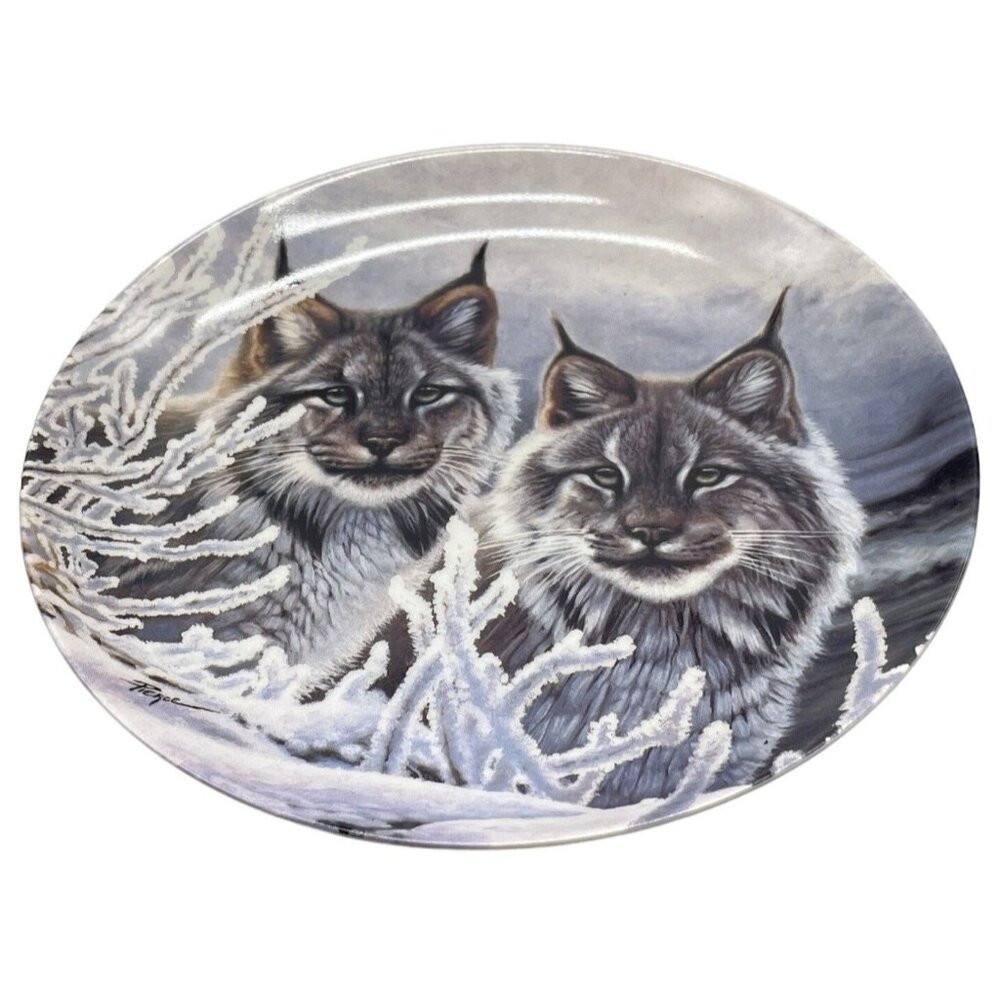 bradex collector plate eyes in the snow 6th issue 1993 #4013B by pierce 8" READ